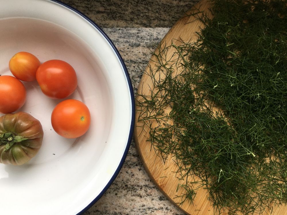 Tomaten und Kr&auml;uter