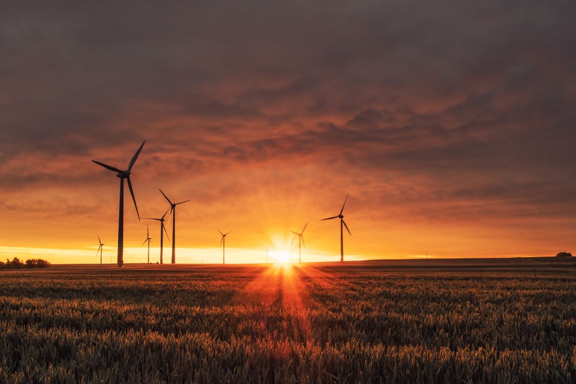Windr&auml;der im Sonnenuntergang